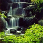 VANDUSEN BOTANICAL GARDEN